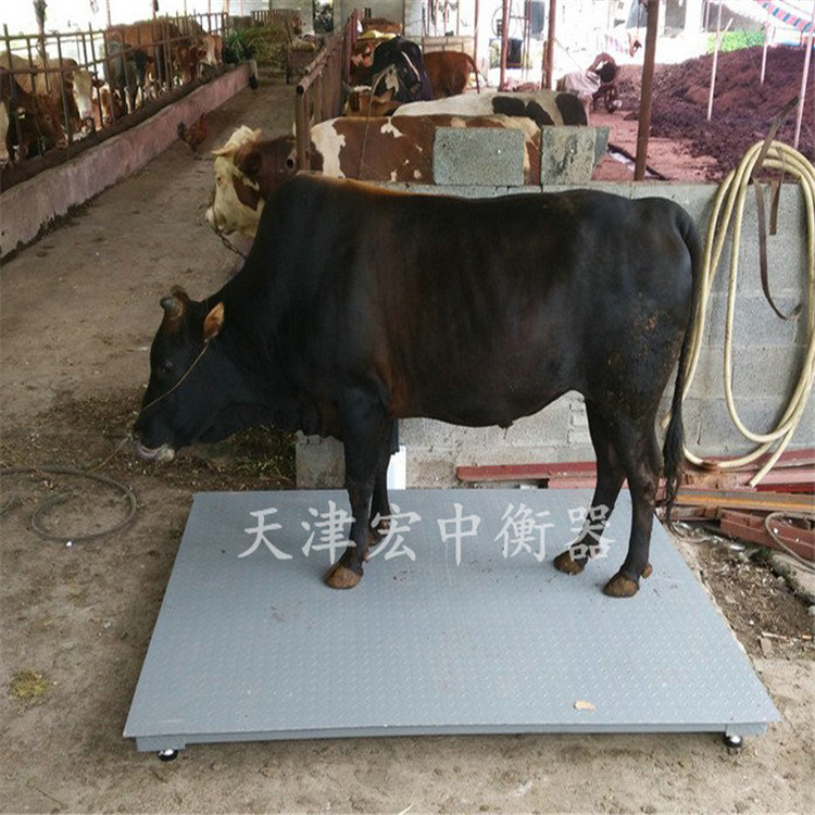 1.5-2m電子地磅_副本.jpg